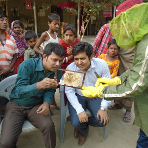 মৌ চাষ-ফুলবাড়ী, দিনাজপুর