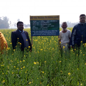 চাষী পযায়ে উন্নতমানের বীজ উৎপাদন প্রদশনী